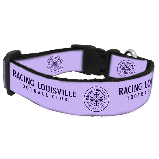 Racing Dog Adjustable Ribbon Collar